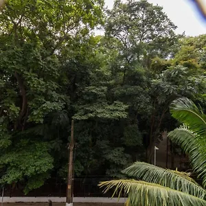 Apartment Lindo Studio, Recem Reformado
