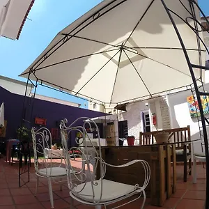 Hostel Purple House