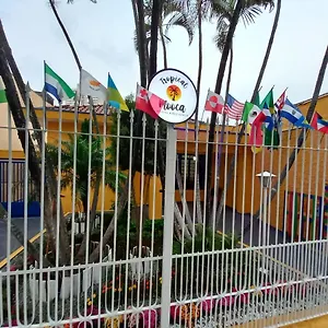 Tropical Mooca *